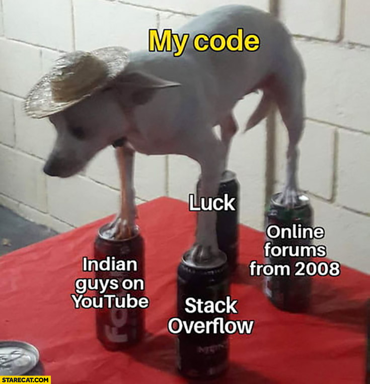 my-code-dog-standing-on-cans-indian-guys-on-youtube-stack-overflow-luck-online-forums-from-2008.jpg