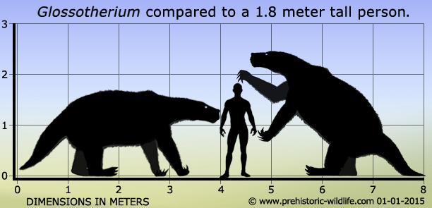 glossotherium-size.jpg