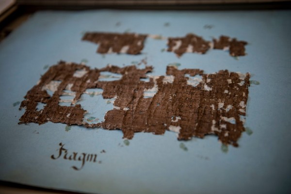 ancient-papyrus-scrolls-at-the-national-library-of-naples.jpg